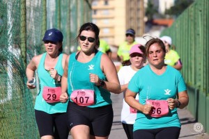 15542015_1706083306369058_6961871745820734306_n