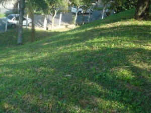 SAM_3973