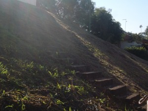 SAM_3974