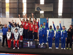 Ginástica Artística Masculino