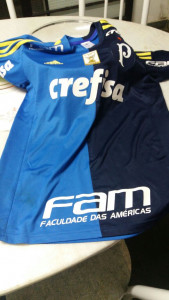 Camisa oficial da S.E. Palmeiras que está sendo leiloada pelo Dal Bon FC